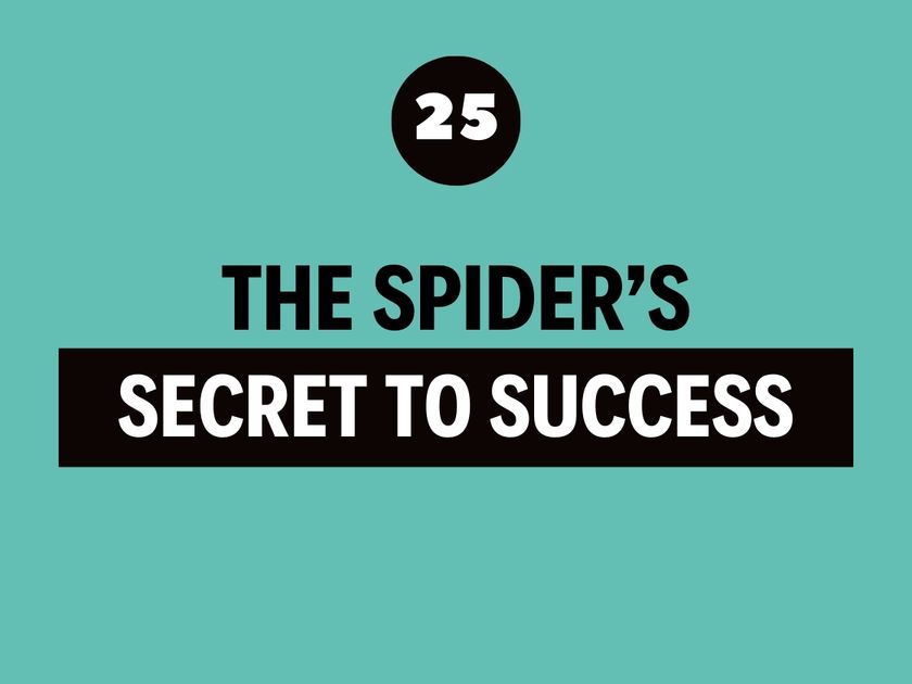 The Best Leadership Podcast - Secret To Success